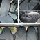 Semi-Tailored Van Seat Covers